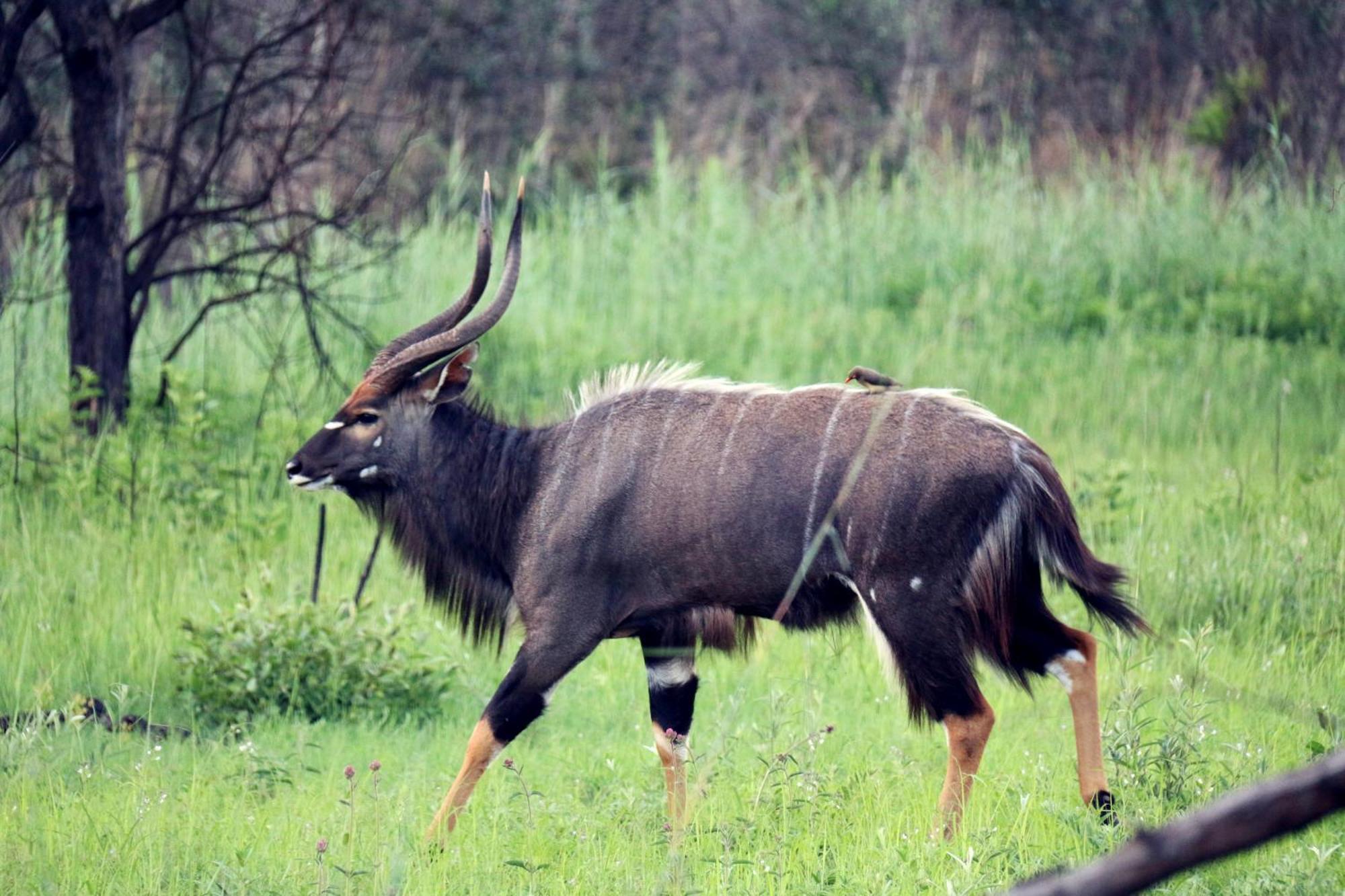 Ouklip Game Lodge Klipdrift Εξωτερικό φωτογραφία